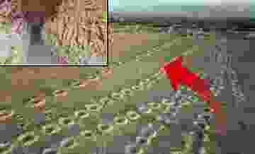 5aaf9e3c7152d83700b47457