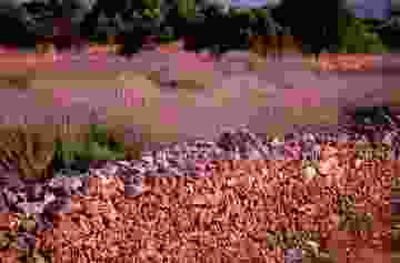 5a9909022269a224bc48d18f