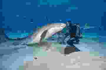 5a9909e02269a224bc48d1cf