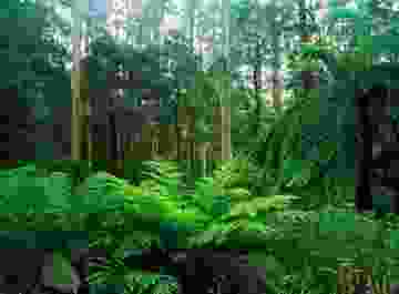5a9909352269a224bc48d1b0