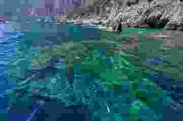 5a9909432269a224bc48d1b9