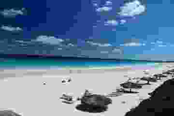 5a99094c2269a224bc48d1c5