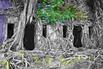 5a968f2dc03c0e1568308838