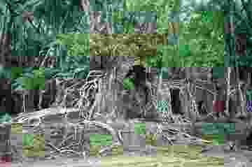 5a968f7bc03c0e1568308842
